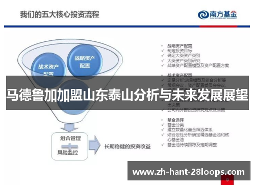 马德鲁加加盟山东泰山分析与未来发展展望